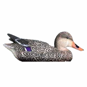 APPELANT CANARD COLVERT FEMELLE SPORT PLAST