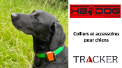 Accessoires chiens