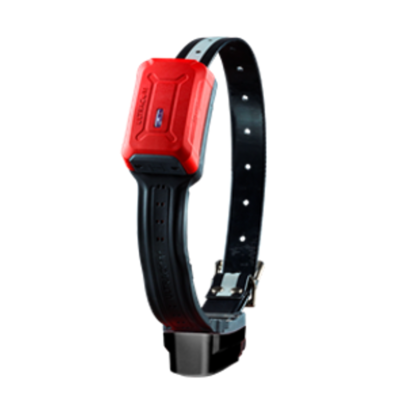 Collier GPS TRACKER R10i pour chien de chasse – Localisation GPS/GLONASS en temps réel