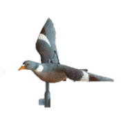 APPELANT CARROUSEL PIGEON RAMIER SPORT PLAST