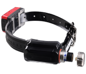 Collier GPS TRACKER R10i pour chien de chasse – Localisation GPS/GLONASS en temps réel
